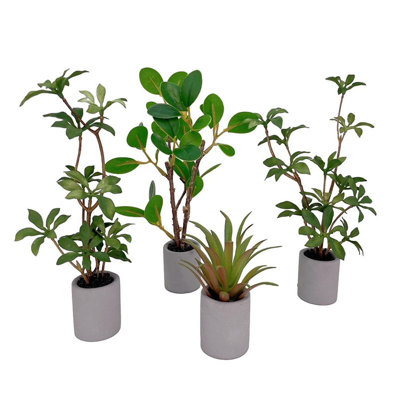 Bonsai Garden House - 1:6 دمية مصغرة بوعاء النبات الأخضر