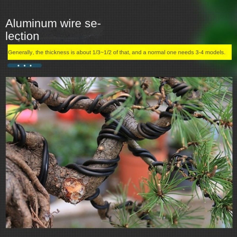 سلك بونساي من الألومنيوم لتشكي - مراجعة Bonsai Wire Aluminum وسعره