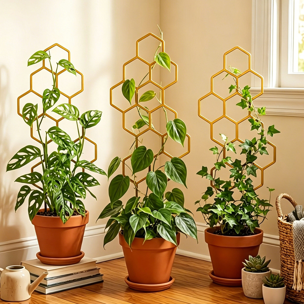 إطار نباتي سداسي الشكل من قطعت - مراجعة Bonsai Vertical Garden وسعره