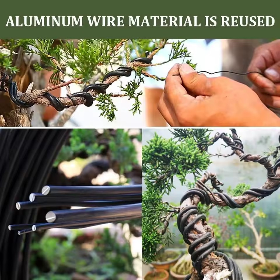 سلك تشكيل النباتات وملحقات الح - مراجعة Bonsai Wire Aluminum وسعره