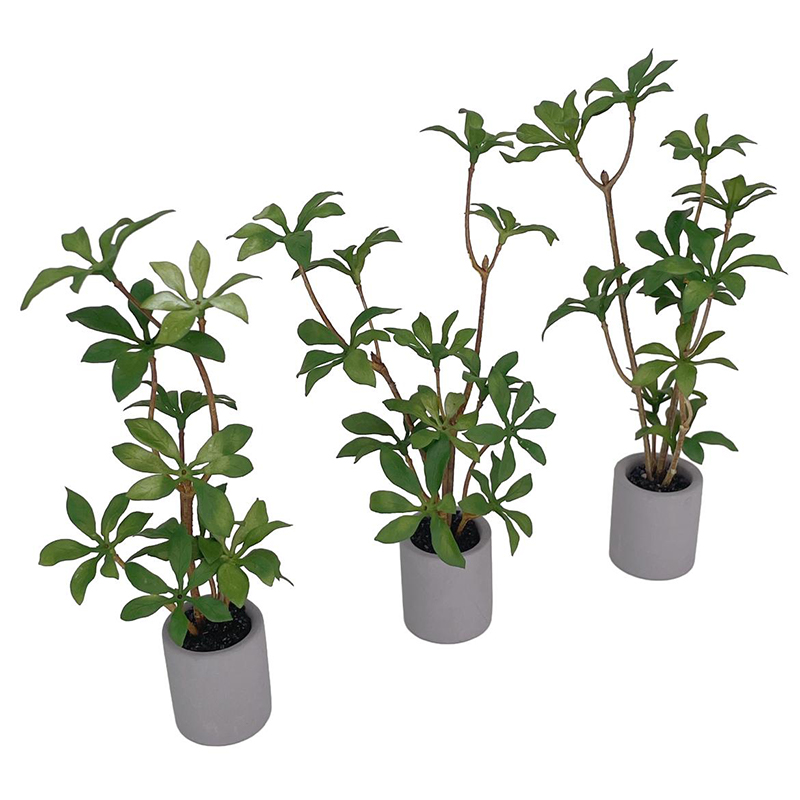 1:6 دمية مصغرة بوعاء النبات ال - مراجعة Bonsai Garden House وسعره