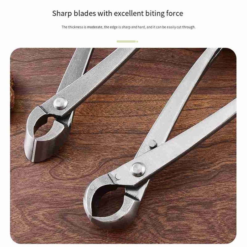 أدوات شجرة البونساي من ABAE، م - مراجعة Root Hook Tool وسعره