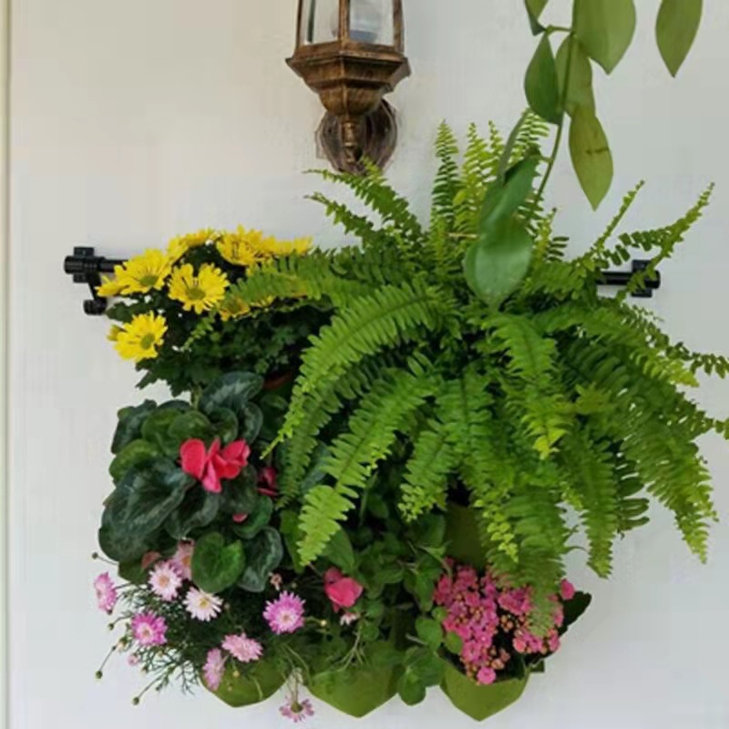 حقيبة زراعة معلقة على الحائط ج - مراجعة Bonsai Vertical Garden وسعره