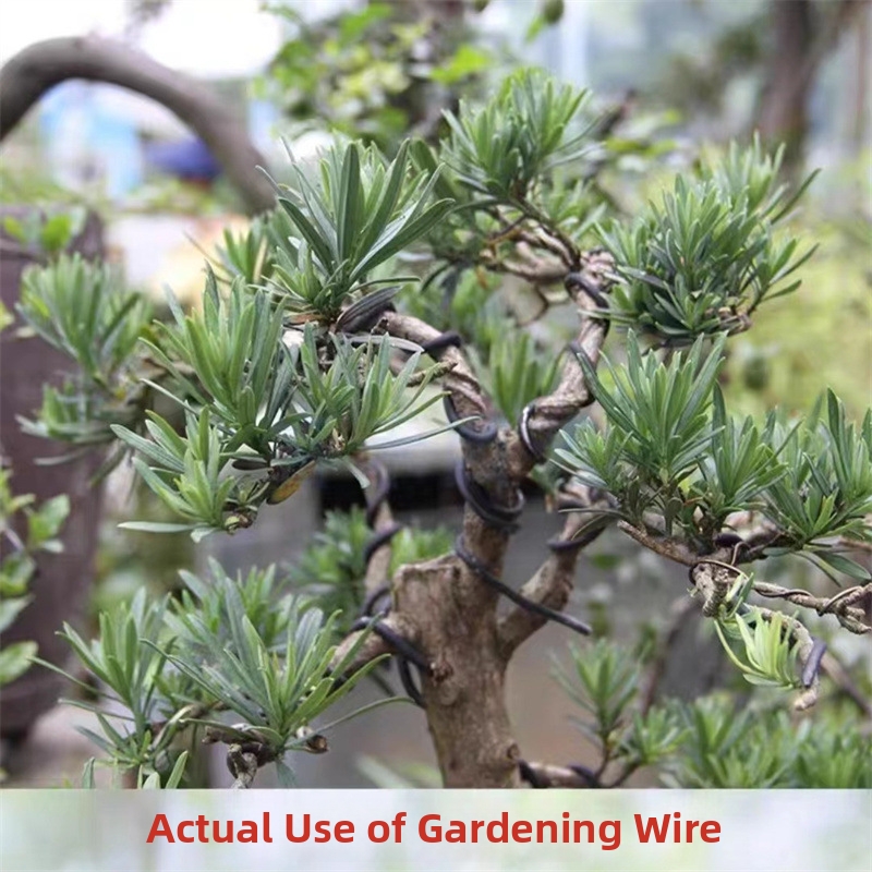 أسلاك بونساي من الألومنيوم بسم - مراجعة Bonsai Wire Aluminum وسعره