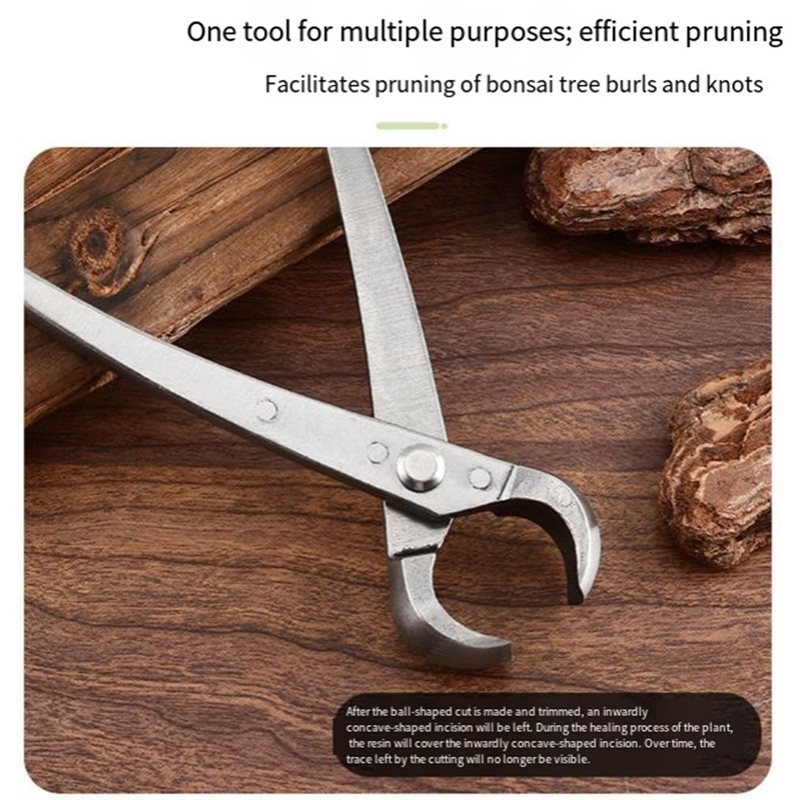 أدوات شجرة البونساي من ABGH، م - مراجعة Root Hook Tool وسعره