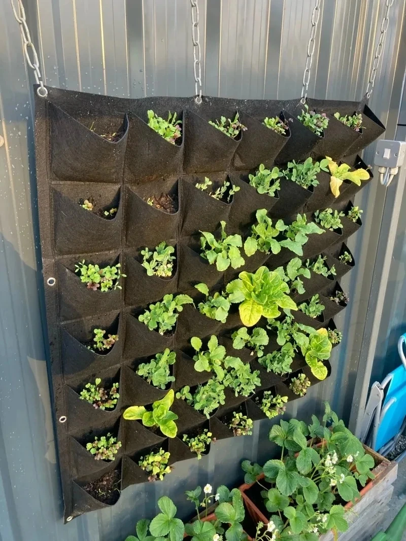حقيبة زراعة معلقة على الحائط م - مراجعة Bonsai Vertical Garden وسعره