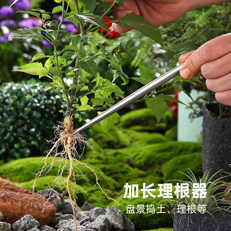 خطاف جذور من الفولاذ المقاوم ل - مراجعة Root Hook Tool وسعره