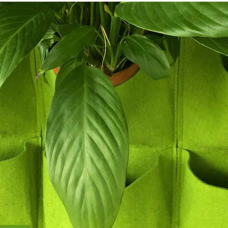 حقيبة زراعة معلقة على الحائط ج - مراجعة Bonsai Vertical Garden وسعره