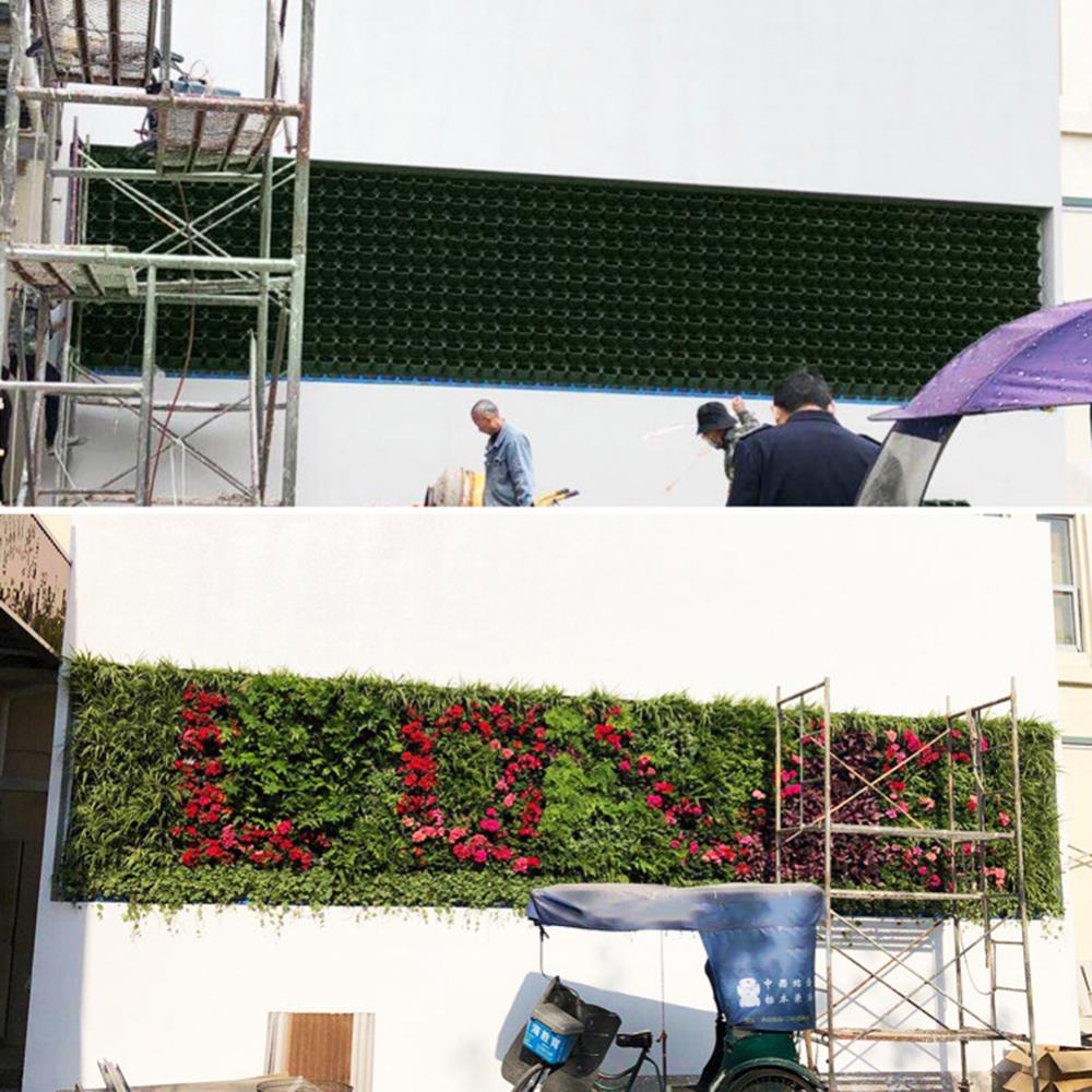 صندوق غابة مثبت على الحائط متع - مراجعة Bonsai Vertical Garden وسعره