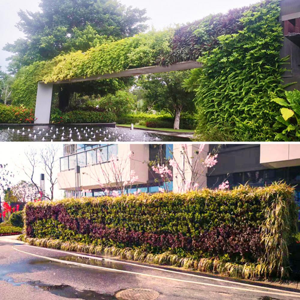 صندوق غابة مثبت على الحائط متع - مراجعة Bonsai Vertical Garden وسعره